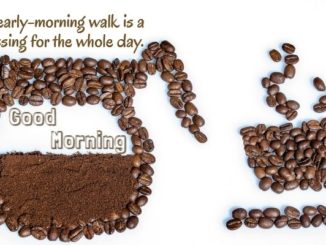 good morning quotes for friends