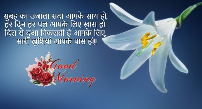 hindi shayari forward