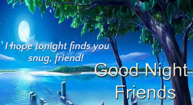 cute good night messages for friend