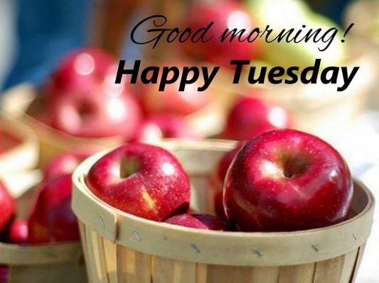 Happy Tuesday Images Good Morning Tuesday Quotes Messages Wishes