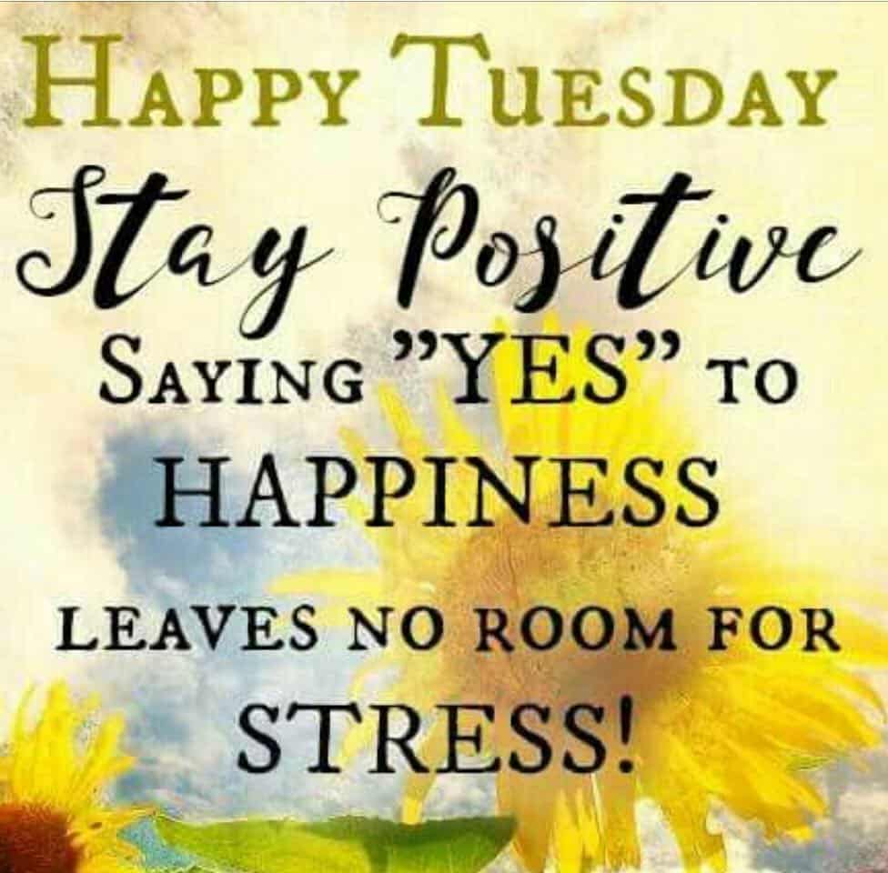 Happy Tuesday Images Good Morning Tuesday Quotes Messages Wishes