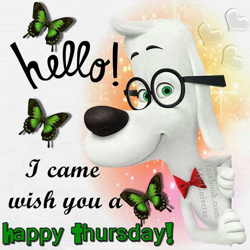 Happy Thursday Images, Good Morning Thursday Quotes Messages & Wishes