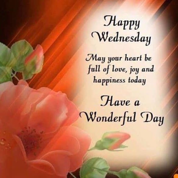 Image result for Happy Wednesday quote