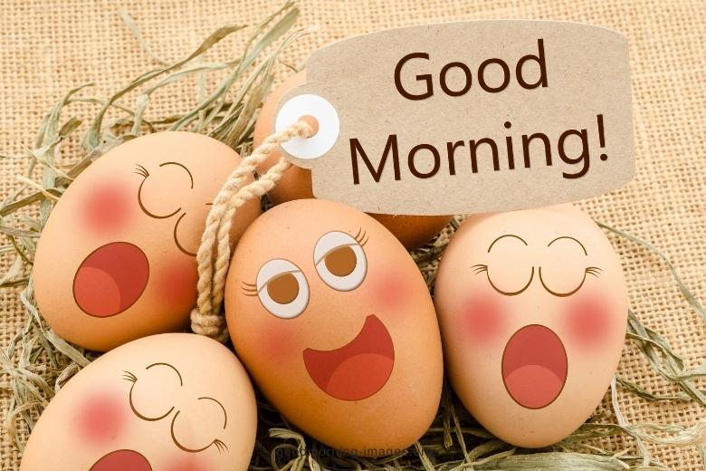 good morning egg pics