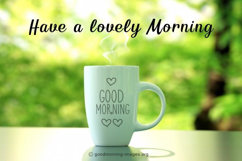 have a lovely morning