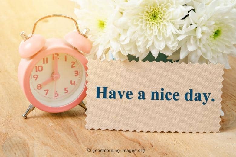 have a nice day pics