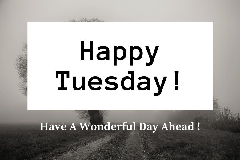 happy tuesday photos hd free download