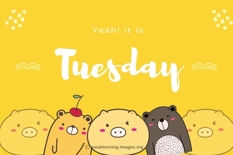 it's tuesday images