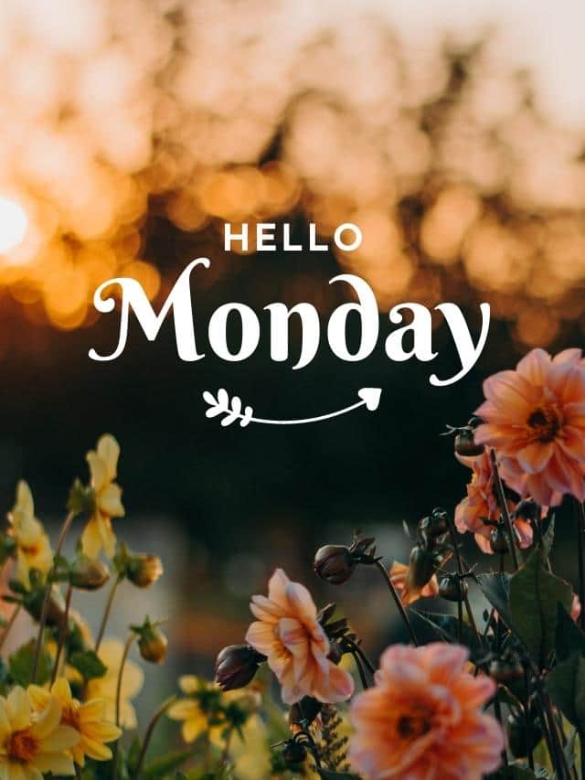 Good Morning Monday Quotes, Wishes, Messages With Images