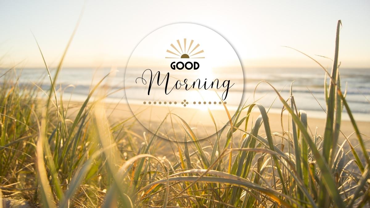 Nature Good Morning Gif Images Download Free